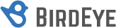 BirdEye Logo